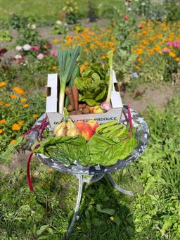 Image of Veg & Fruit & Salad box - Medium