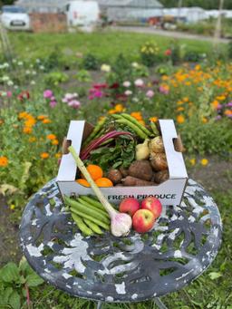 Image of Fruit & Vegetable box - Small