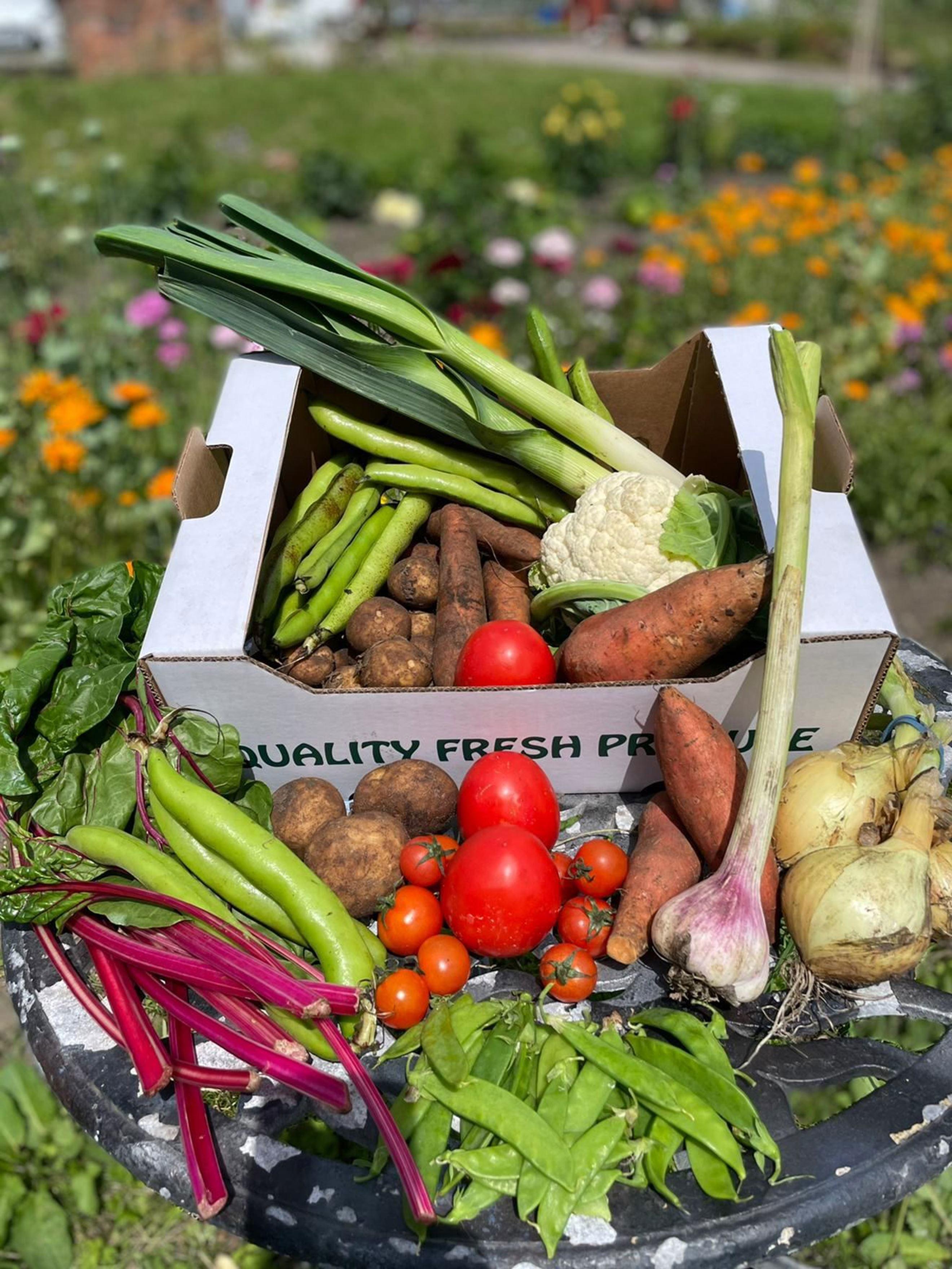 Vegetable Box