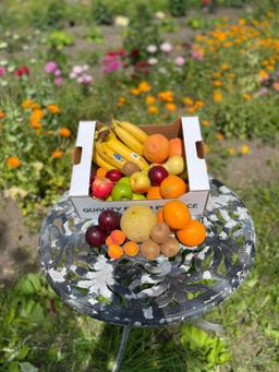 Image of Fruit Box - Large