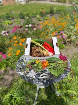 Image of Salad & Vegetable box - Small