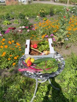 Image of Veg & Fruit & Salad box - Small