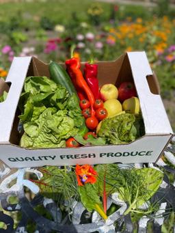 Image of Salad & Fruit box - Small