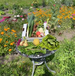 Image of Veg & Fruit & Salad box - Large