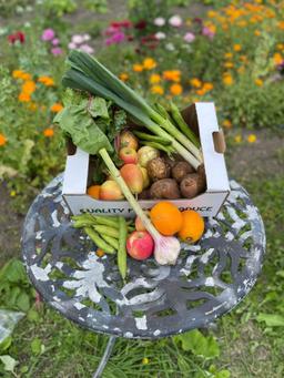 Image of Fruit & Vegetable box - Medium