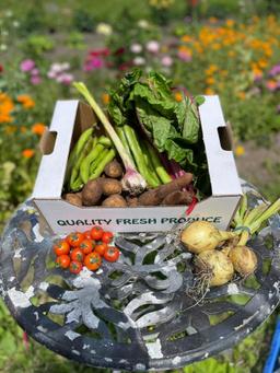 Image of Vegetable box - Small